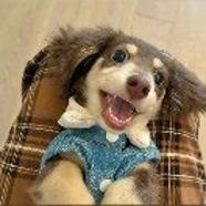 rzjyzjddmsh