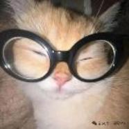 1900367538