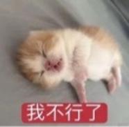 随便起个名字aa