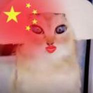 肥猪起开