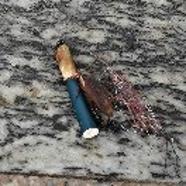 狗肉网红小二