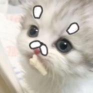 山风寒