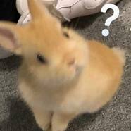 矿泉水____
