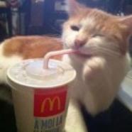 AAAemm_