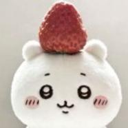boboki73